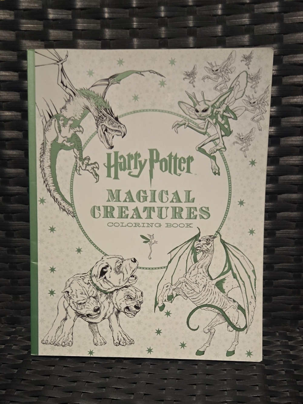 ✨ Harry Potter Magical Creatures Coloring Book 🪄🐉EUC